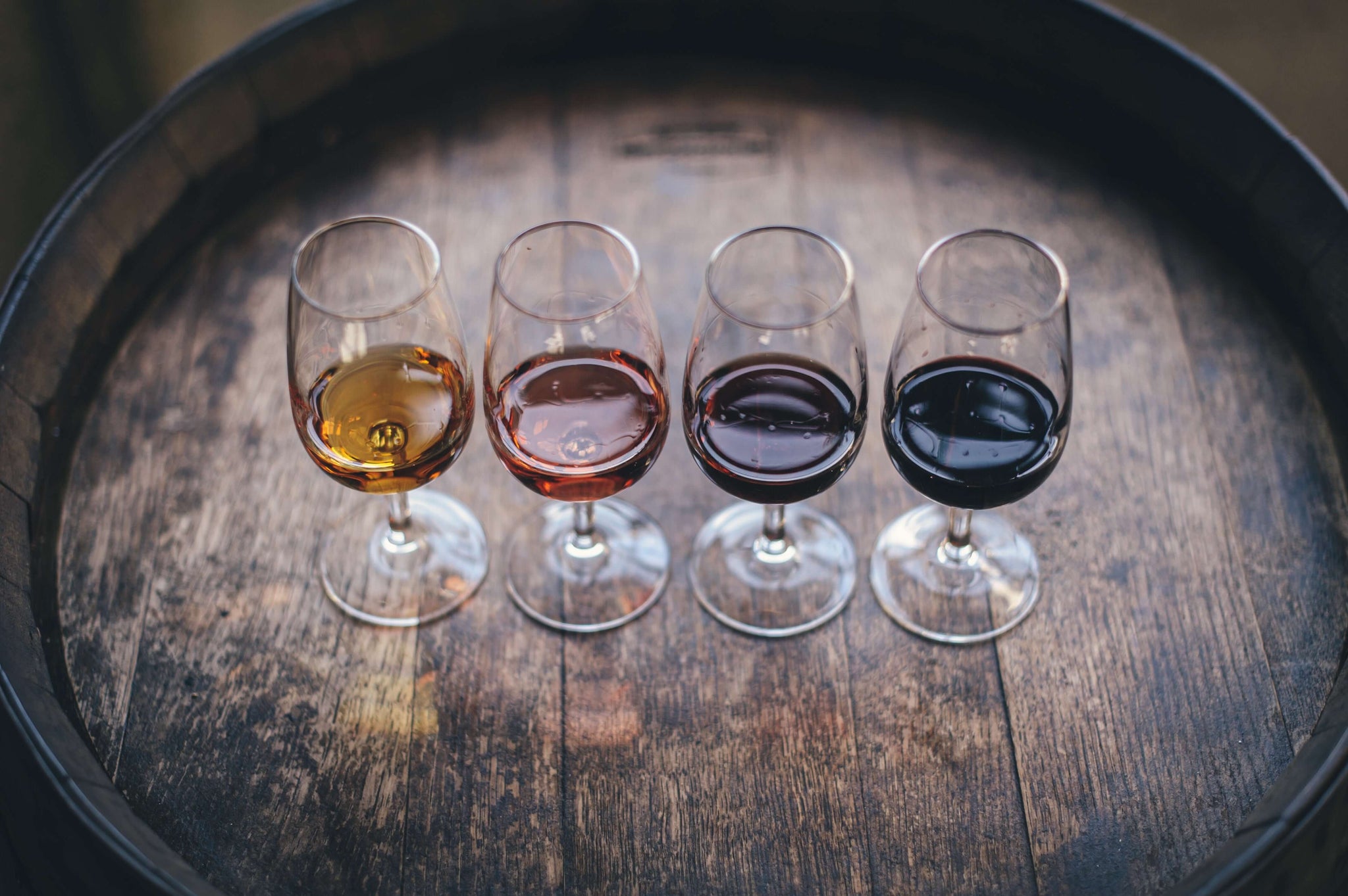 Understanding the process of making wine