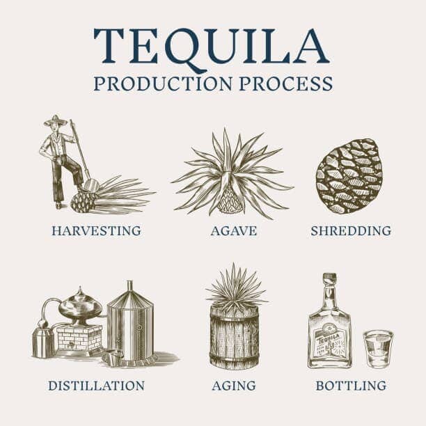 Tequila distillation process