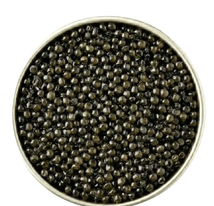 Close-up of black caviar in a metal container on a white background