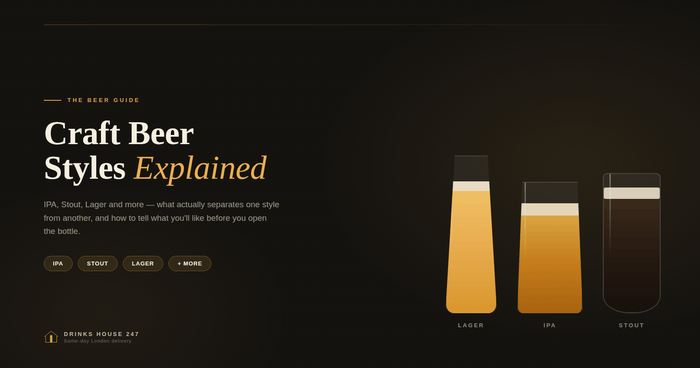 Craft Beer Styles Explained: IPA, Stout, Lager and More