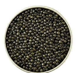 Close-up of black caviar in a metal container on a white background
