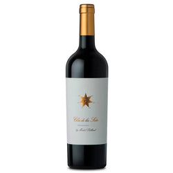 Michel Rolland's Argentina Red Clos De Los Siete 2019 75cl wines Drinks House 247 