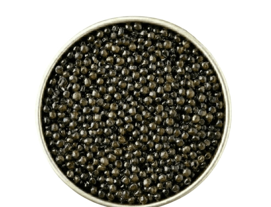 Close-up of black caviar in a metal container on a white background