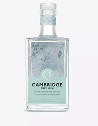 Clear glass square bottle of Cambridge Dry Gin (70cl), filled with crystal-clear gin. The bottle has a clear glass stopper cap and a soft mint-green label with delicate hand-drawn botanical illustrations in white and pale grey: roses, juniper berries, leaves, and stems surrounding the text. The label reads "CAMBRIDGE" at the top in elegant white script, "DRY GIN" in bold capitals below, "FRESH ENGLISH BOTANICALS" and "FROM A RECIPE GROWN IN THE DISTILLER'S GARDEN" in smaller text, "42% Vol." and "70cl e"