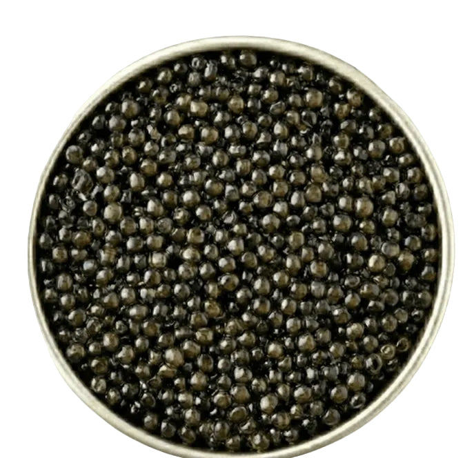 Close-up of black caviar in a metal container on a white background