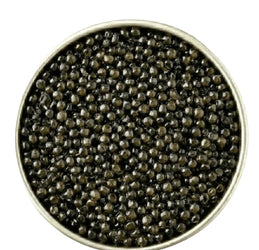 Close-up of black caviar in a metal container on a white background